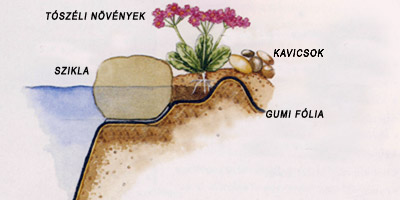 Kerti szegély-sziklás, köves tószegély